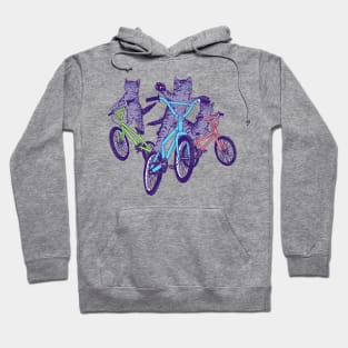 BMX Kittens Hoodie